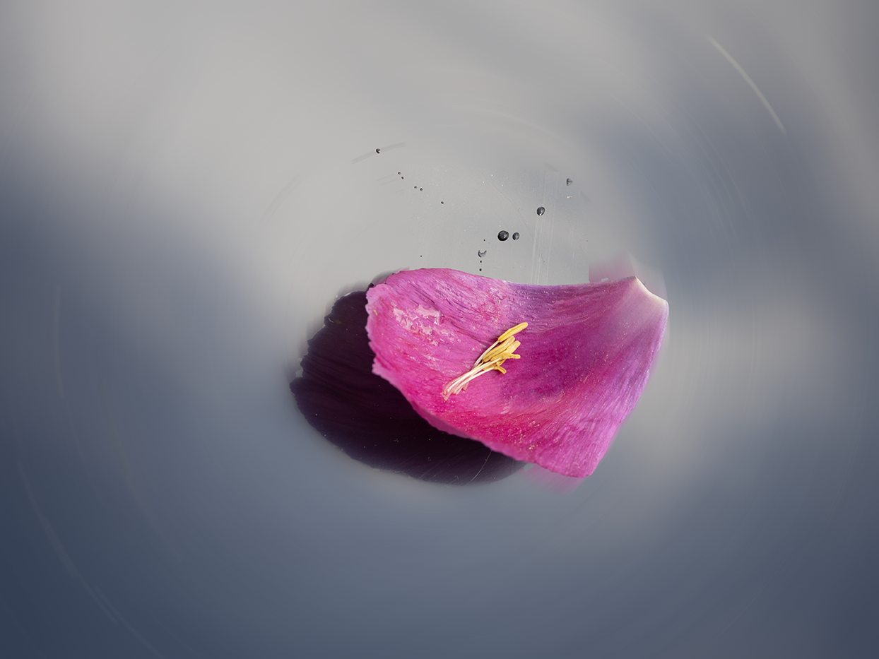 LalyDeco – art that breathes in sync with nature